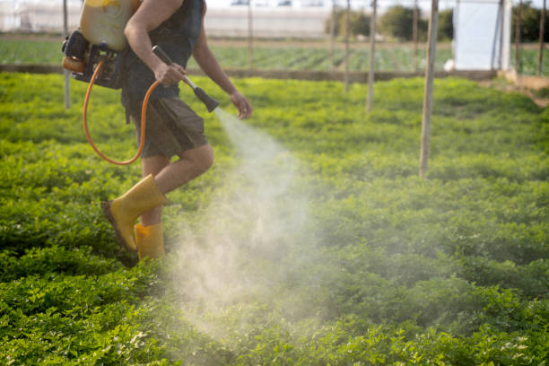 Best Local Pest Control Services  in Chewelah, WA