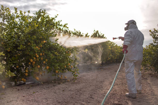 Best Wasp Removal Services  in Chewelah, WA