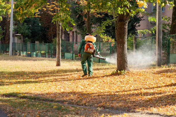 Best Mosquito Control Services  in Chewelah, WA