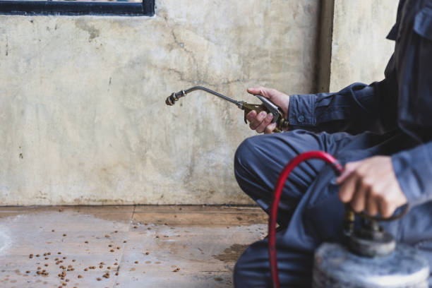 Best Pest Removal Services  in Chewelah, WA